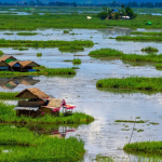 ലോക്തക് തടാകം ഏത് സംസ്ഥാനത്തിലാണ് എ) കേരളം ബി) മണിപ്പൂര്‍ സി) ഉത്തരാഖണ്ഡ് ഡി) രാജസ്ഥാന്‍ അനുബന്ധ വിവരങ്ങള്‍ ലോകത്തിലെ ഏക ഒഴുകുന്ന ദേശീയോദ്യാനമായ കെയ്ബുള്‍ ലംജാവോ സ്ഥിതി ചെയ്യുന്ന തടാകമാണ് ലോക്തക് തടാകം. ഗംഗാ ഡോള്‍ഫിനിന്റെ സംരക്ഷണത്തിന് പ്രസിദ്ധമായ വന്യജീവി സങ്കേതമാണ് ബീഹാറിലെ വിക്രംശില ഗാഞ്ചറ്റിക് ഡോള്‍ഫിന്‍ സാങ്ച്വറി. ഇന്ത്യയില്‍ കാട്ടുകഴുതകള്‍ക്കുള്ള സാങ്ച്വറിയാണ് ഗുജറാത്തിലെ റാന്‍ ഓഫ് കച്ച്. ഇന്ത്യയിലെ ആദ്യത്തെ ഹിമപ്പുലി സംരക്ഷണ കേന്ദ്രം ഉത്തരാഖണ്ഡിലാണ്. വെള്ളക്കടുവകള്‍ക്ക് പ്രസിദ്ധമായ നന്ദന്‍ കാനന്‍ മൃഗശാല ഒഡീഷയിലെ ഭുവനേശ്വറിലാണ്. ഒലിവ് റിഡ്‌ലി കടലാമകളുടെ പ്രജനനത്തിന് പ്രസിദ്ധമായ ഗാഹിര്‍മാത ബീച്ച് ഭിട്ടാര്‍കനിക വന്യജീവി സങ്കേതത്തിന്റെ ഭാഗമാണ്. അസമിലെ കാസിരംഗ ദേശീയോദ്യാനം ഒറ്റക്കൊമ്പന്‍ കാണ്ടാമൃഗത്തിന് പ്രസിദ്ധമാണ്. കൃഷ്ണമൃഗങ്ങളെ സംരക്ഷിക്കുന്നതിനായി രൂപീകരിച്ച ദേശീയോദ്യാനാമാണ് ഗുജറാത്തിലെ വേലവധാര്‍ ദേശീയോദ്യാനം. സൈബീരിയന്‍ കൊക്കുകള്‍ക്ക് പ്രസിദ്ധമാണ് രാജസ്ഥാനിലെ കേവലദേവ് ദേശീയോദ്യാനം. ഹിമപ്പുലിക്ക് പ്രസിദ്ധമായ ദേശീയോദ്യാനമാണ് ഹെമിസ് ദേശീയോദ്യാനം. ലോക് തക് തടാകം ഏത് സംസ്ഥാനത്തിലാണ് ഉത്തരം ബി റാങ്ക് മേക്കിങ് പോയിന്റ്: സ്വര്‍ണക്കുരങ്ങുകള്‍ക്ക് പ്രസിദ്ധമായ അസമിലെ ദേശീയോദ്യാനമാണ് മാനസ്. 2021-ലെ അസിസ്റ്റന്റ് സെയില്‍സ്മാന്‍ പരീക്ഷയ്ക്ക് ചോദിച്ച ചോദ്യവും അനുബന്ധ വിവരങ്ങളും നമുക്ക് പഠിക്കാം. best psc coaching center kozhikode, best psc coaching center calicut, best psc coaching center kozhikode silver leaf, silver leaf psc academy, silver leaf psc academy calicut, silver leaf psc academy kozhikode
