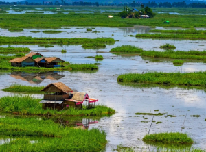 ലോക്തക് തടാകം ഏത് സംസ്ഥാനത്തിലാണ് എ) കേരളം ബി) മണിപ്പൂര്‍ സി) ഉത്തരാഖണ്ഡ് ഡി) രാജസ്ഥാന്‍ അനുബന്ധ വിവരങ്ങള്‍ ലോകത്തിലെ ഏക ഒഴുകുന്ന ദേശീയോദ്യാനമായ കെയ്ബുള്‍ ലംജാവോ സ്ഥിതി ചെയ്യുന്ന തടാകമാണ് ലോക്തക് തടാകം. ഗംഗാ ഡോള്‍ഫിനിന്റെ സംരക്ഷണത്തിന് പ്രസിദ്ധമായ വന്യജീവി സങ്കേതമാണ് ബീഹാറിലെ വിക്രംശില ഗാഞ്ചറ്റിക് ഡോള്‍ഫിന്‍ സാങ്ച്വറി. ഇന്ത്യയില്‍ കാട്ടുകഴുതകള്‍ക്കുള്ള സാങ്ച്വറിയാണ് ഗുജറാത്തിലെ റാന്‍ ഓഫ് കച്ച്. ഇന്ത്യയിലെ ആദ്യത്തെ ഹിമപ്പുലി സംരക്ഷണ കേന്ദ്രം ഉത്തരാഖണ്ഡിലാണ്. വെള്ളക്കടുവകള്‍ക്ക് പ്രസിദ്ധമായ നന്ദന്‍ കാനന്‍ മൃഗശാല ഒഡീഷയിലെ ഭുവനേശ്വറിലാണ്. ഒലിവ് റിഡ്‌ലി കടലാമകളുടെ പ്രജനനത്തിന് പ്രസിദ്ധമായ ഗാഹിര്‍മാത ബീച്ച് ഭിട്ടാര്‍കനിക വന്യജീവി സങ്കേതത്തിന്റെ ഭാഗമാണ്. അസമിലെ കാസിരംഗ ദേശീയോദ്യാനം ഒറ്റക്കൊമ്പന്‍ കാണ്ടാമൃഗത്തിന് പ്രസിദ്ധമാണ്. കൃഷ്ണമൃഗങ്ങളെ സംരക്ഷിക്കുന്നതിനായി രൂപീകരിച്ച ദേശീയോദ്യാനാമാണ് ഗുജറാത്തിലെ വേലവധാര്‍ ദേശീയോദ്യാനം. സൈബീരിയന്‍ കൊക്കുകള്‍ക്ക് പ്രസിദ്ധമാണ് രാജസ്ഥാനിലെ കേവലദേവ് ദേശീയോദ്യാനം. ഹിമപ്പുലിക്ക് പ്രസിദ്ധമായ ദേശീയോദ്യാനമാണ് ഹെമിസ് ദേശീയോദ്യാനം. ലോക് തക് തടാകം ഏത് സംസ്ഥാനത്തിലാണ് ഉത്തരം ബി റാങ്ക് മേക്കിങ് പോയിന്റ്: സ്വര്‍ണക്കുരങ്ങുകള്‍ക്ക് പ്രസിദ്ധമായ അസമിലെ ദേശീയോദ്യാനമാണ് മാനസ്. 2021-ലെ അസിസ്റ്റന്റ് സെയില്‍സ്മാന്‍ പരീക്ഷയ്ക്ക് ചോദിച്ച ചോദ്യവും അനുബന്ധ വിവരങ്ങളും നമുക്ക് പഠിക്കാം. best psc coaching center kozhikode, best psc coaching center calicut, best psc coaching center kozhikode silver leaf, silver leaf psc academy, silver leaf psc academy calicut, silver leaf psc academy kozhikode
